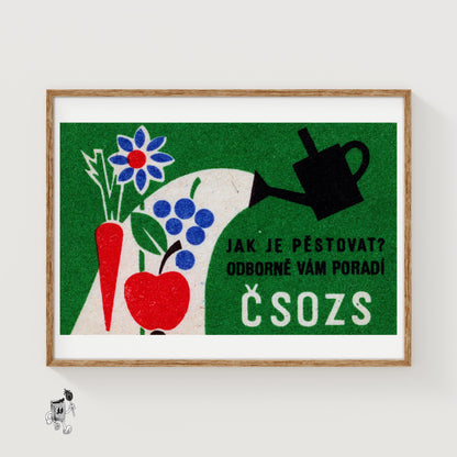 Watering Can with Fruits - vintage matchbox label print