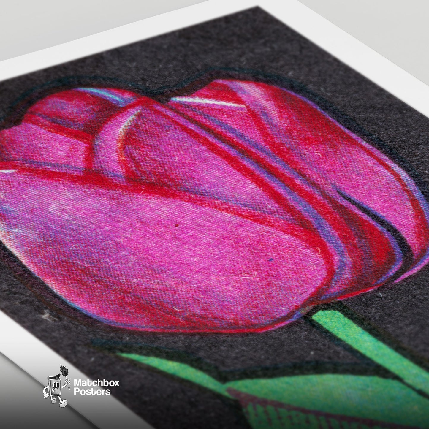 Pink Tulip - vintage matchbox label print - close-up detail