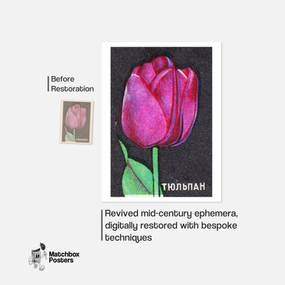 Pink Tulip - vintage matchbox label print - framed wall art preview