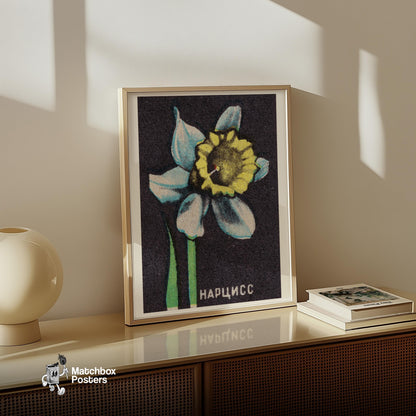 Illustration Of A Daffodil - vintage matchbox label print - size comparison
