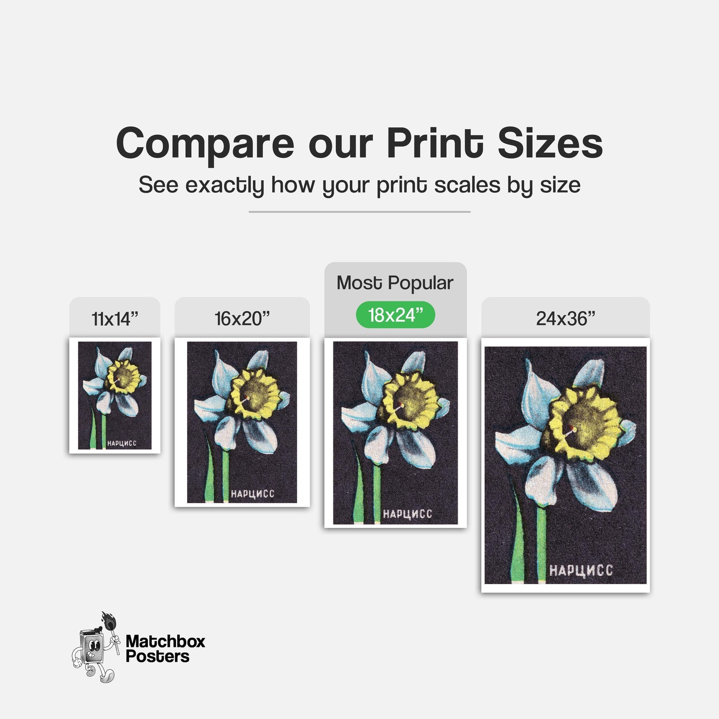 Illustration Of A Daffodil - vintage matchbox label print - gallery wall preview