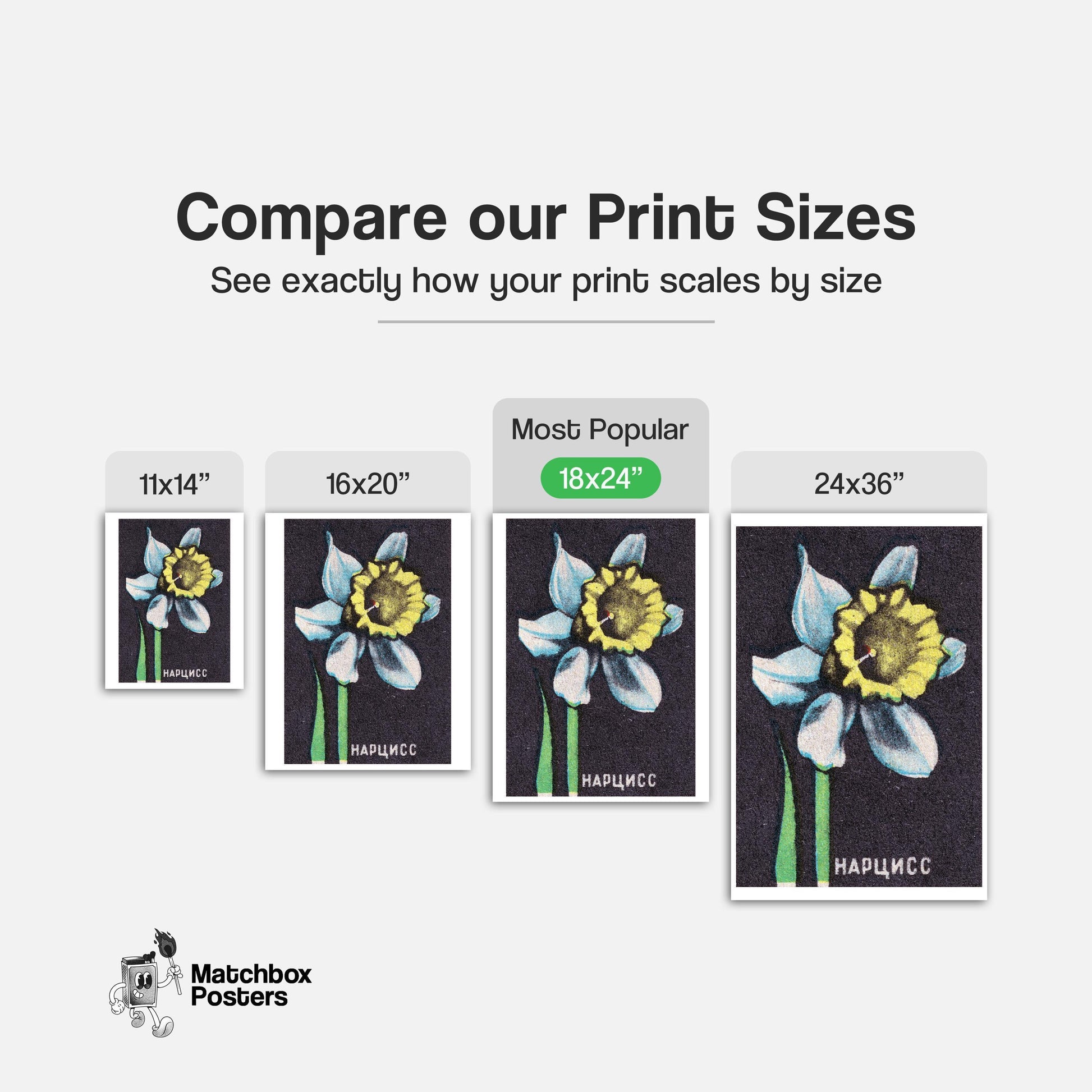 Illustration Of A Daffodil - vintage matchbox label print - gallery wall preview