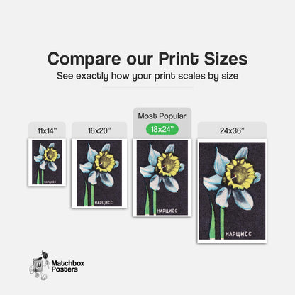 Illustration Of A Daffodil - vintage matchbox label print - gallery wall preview