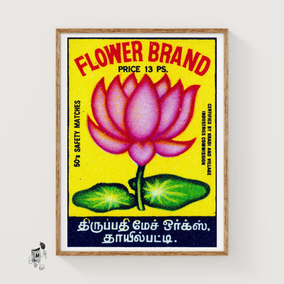 Pink Lotus Flower