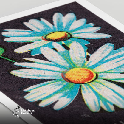 Daisy Flower - vintage matchbox label print - close-up detail