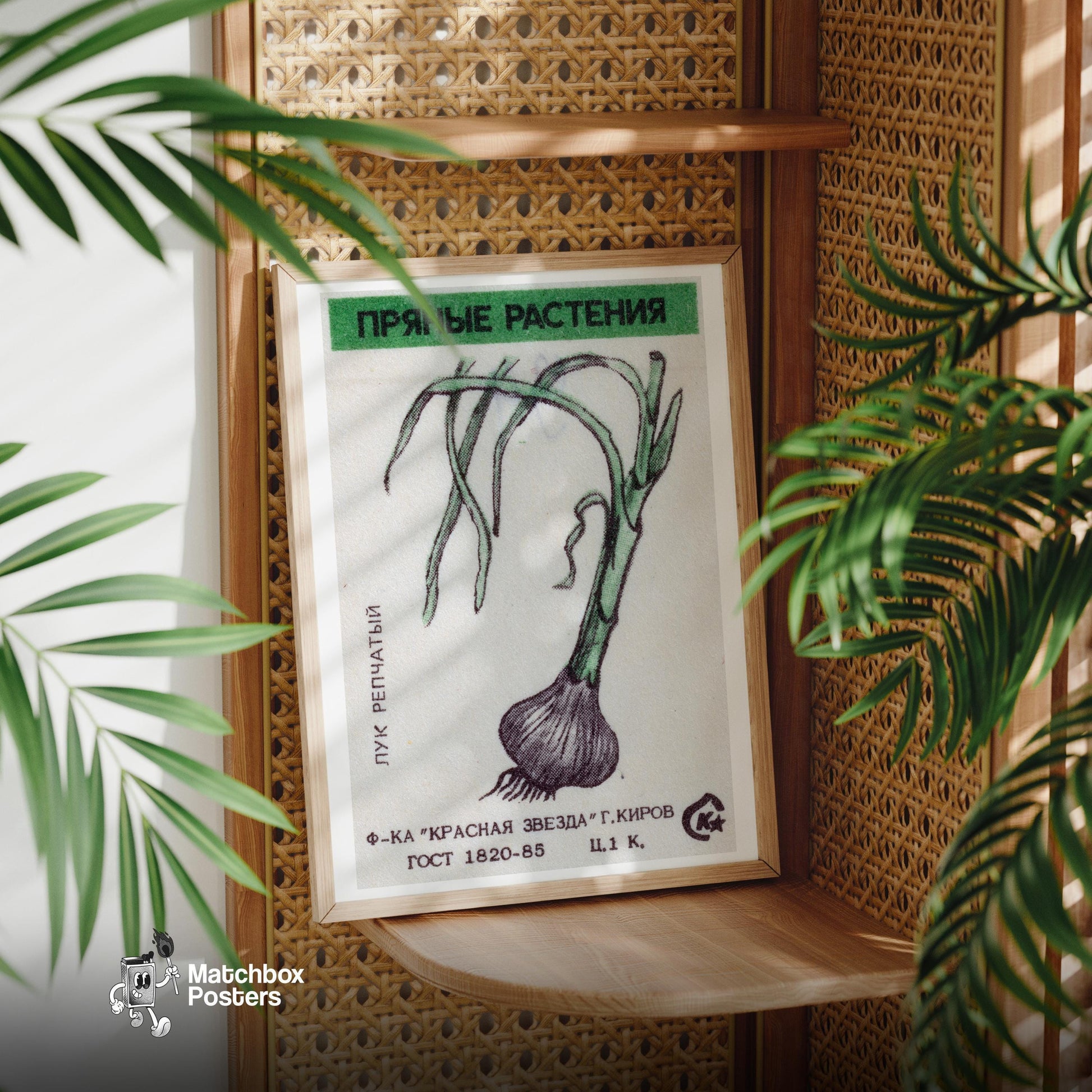 Onion Plant - vintage matchbox label print - office wall