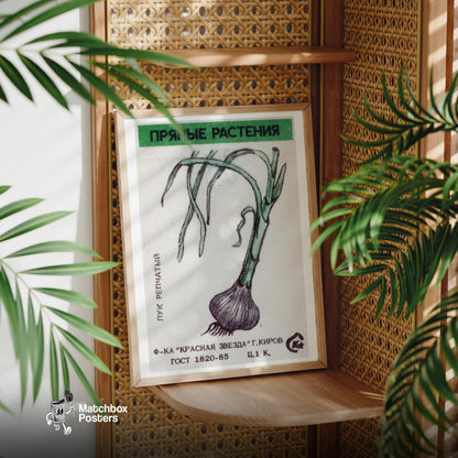 Onion Plant - vintage matchbox label print - office wall
