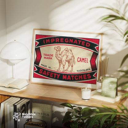 Arabian Camel - vintage matchbox label print - office wall