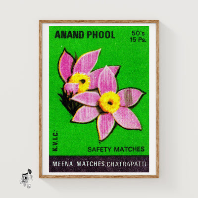 Pink Flowers