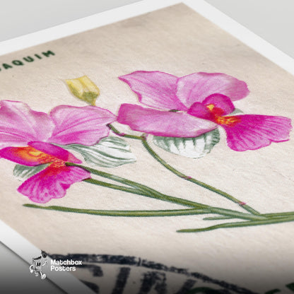 Vanda Miss Joaquim Orchid - vintage matchbox label print - close-up detail