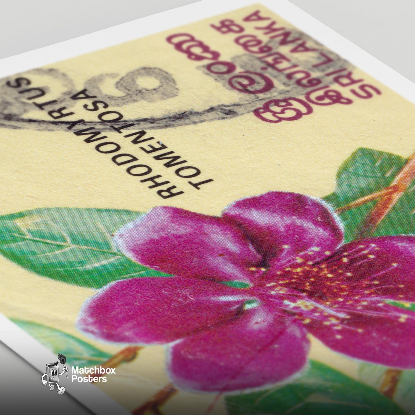 Purple Flower - vintage matchbox label print - close-up detail