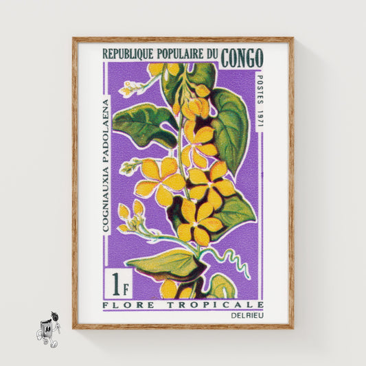 Yellow Flower - vintage matchbox label print