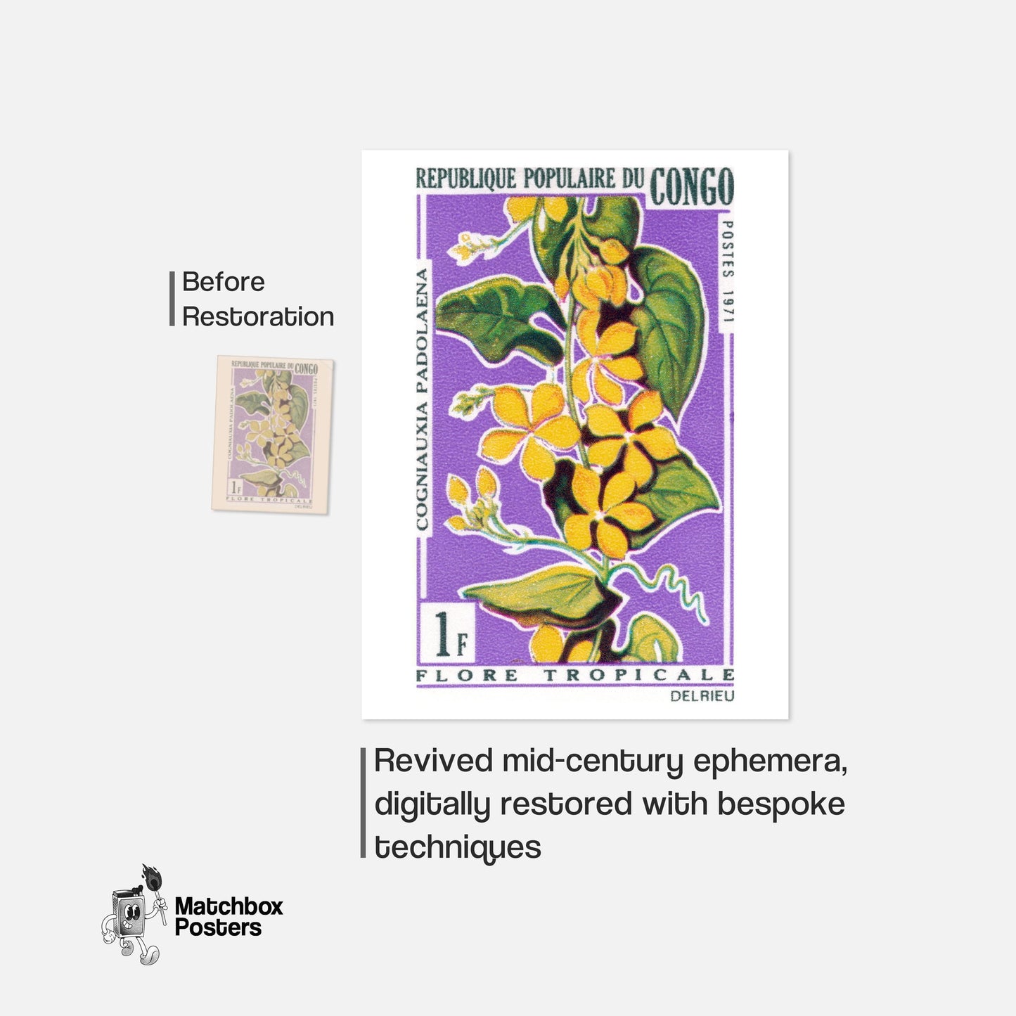 Yellow Flower - vintage matchbox label print - framed wall art preview