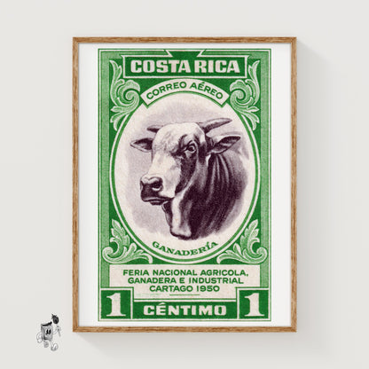 Horned Cow - vintage matchbox label print