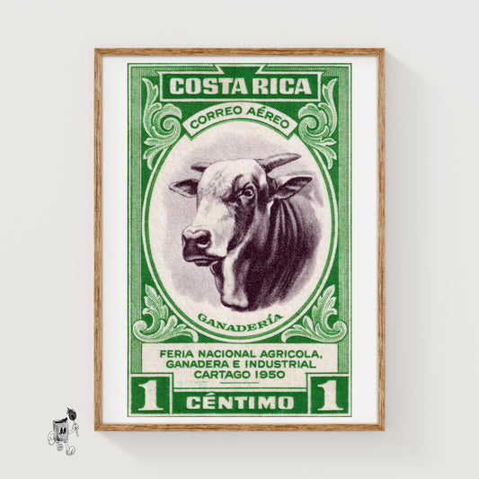 Horned Cow - vintage matchbox label print