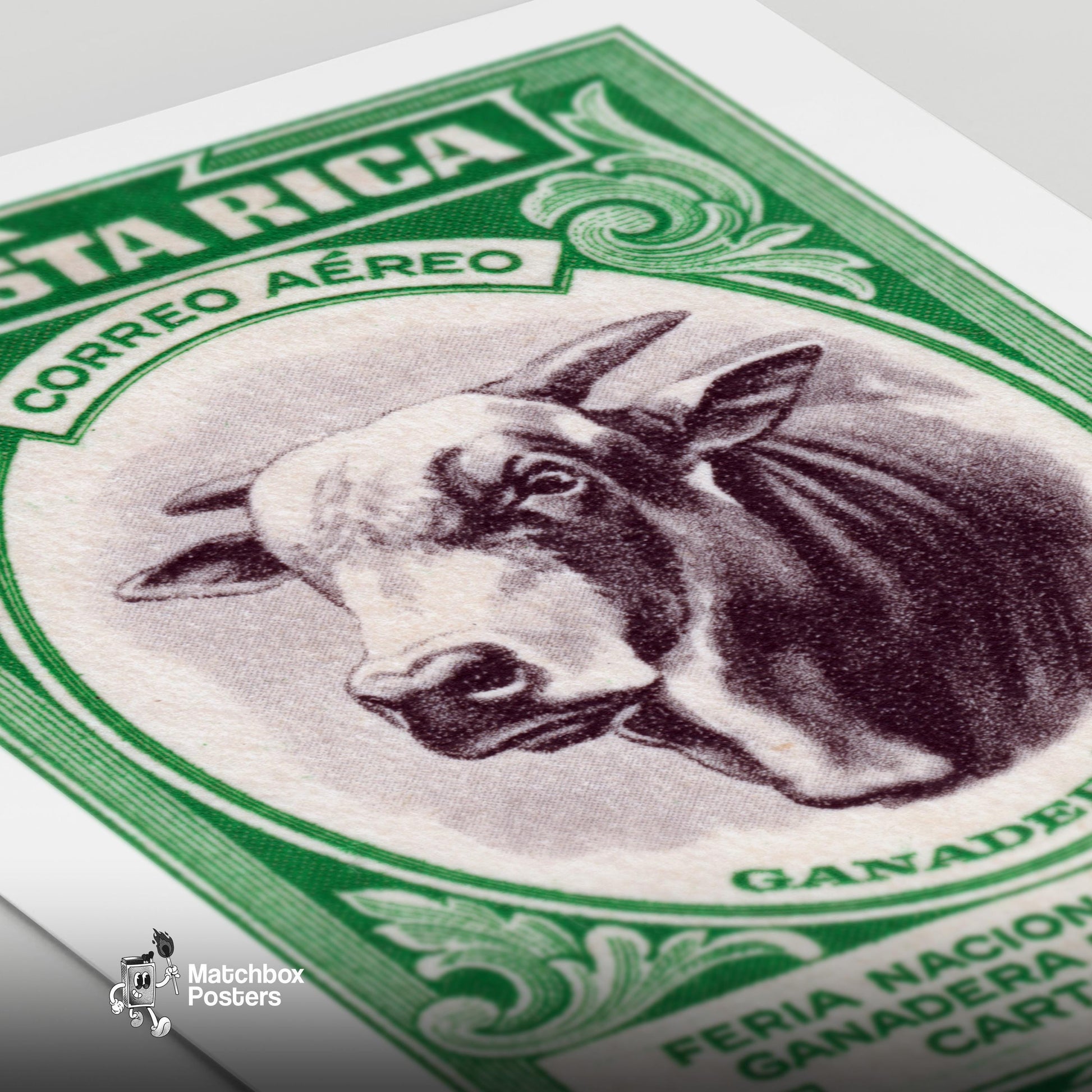 Horned Cow - vintage matchbox label print - close-up detail