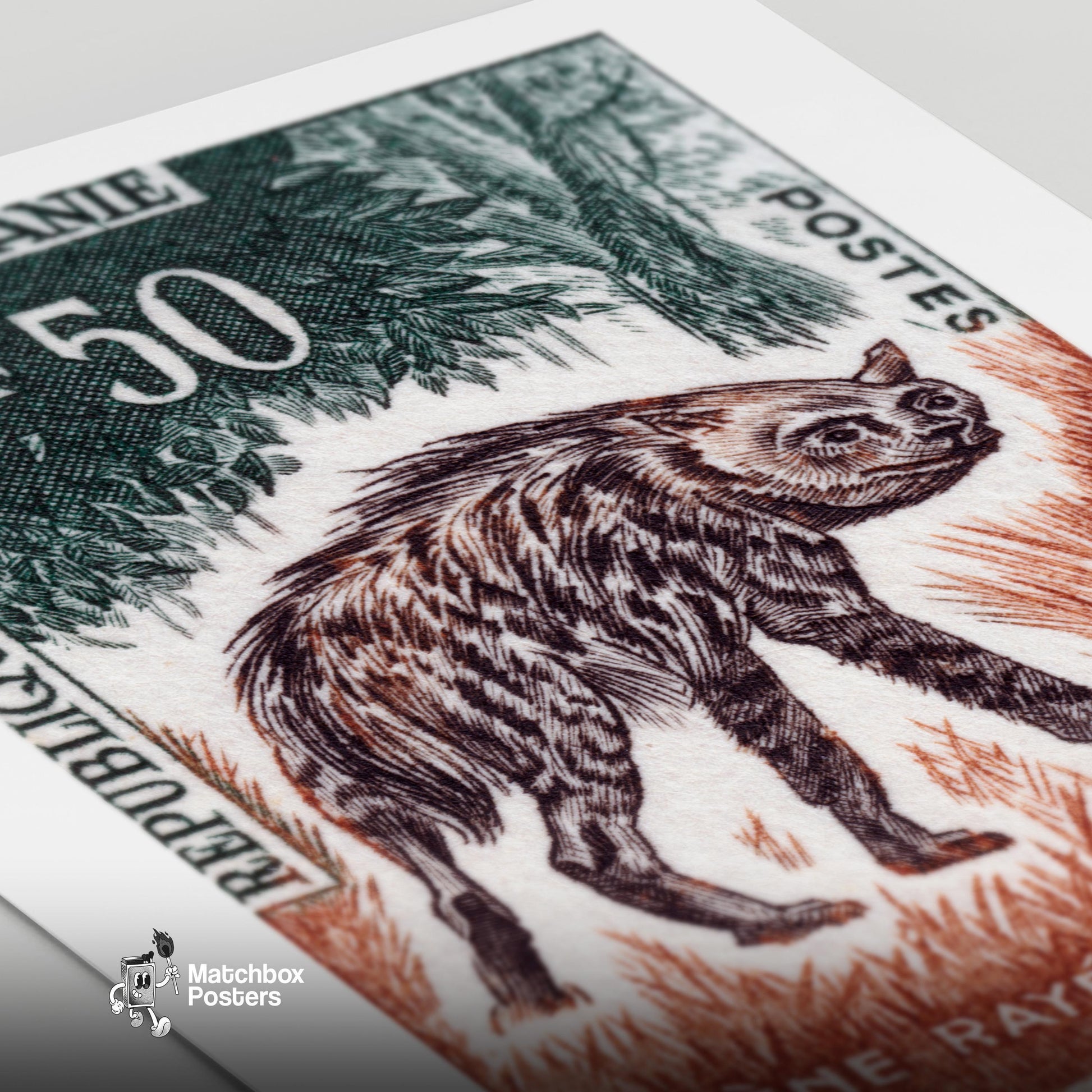 Striped Hyena - vintage matchbox label print - close-up detail