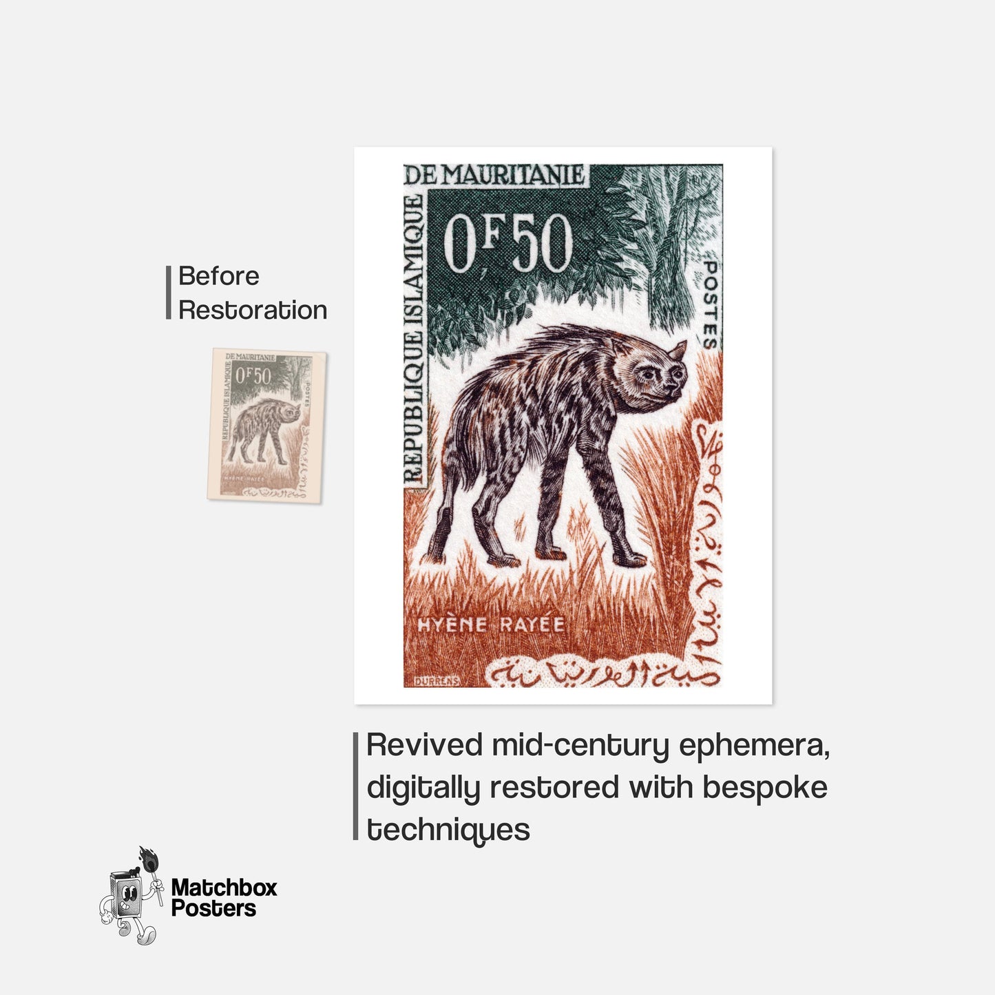 Striped Hyena - vintage matchbox label print - framed wall art preview