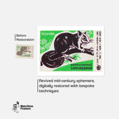 Squirrel - vintage matchbox label print - framed wall art preview