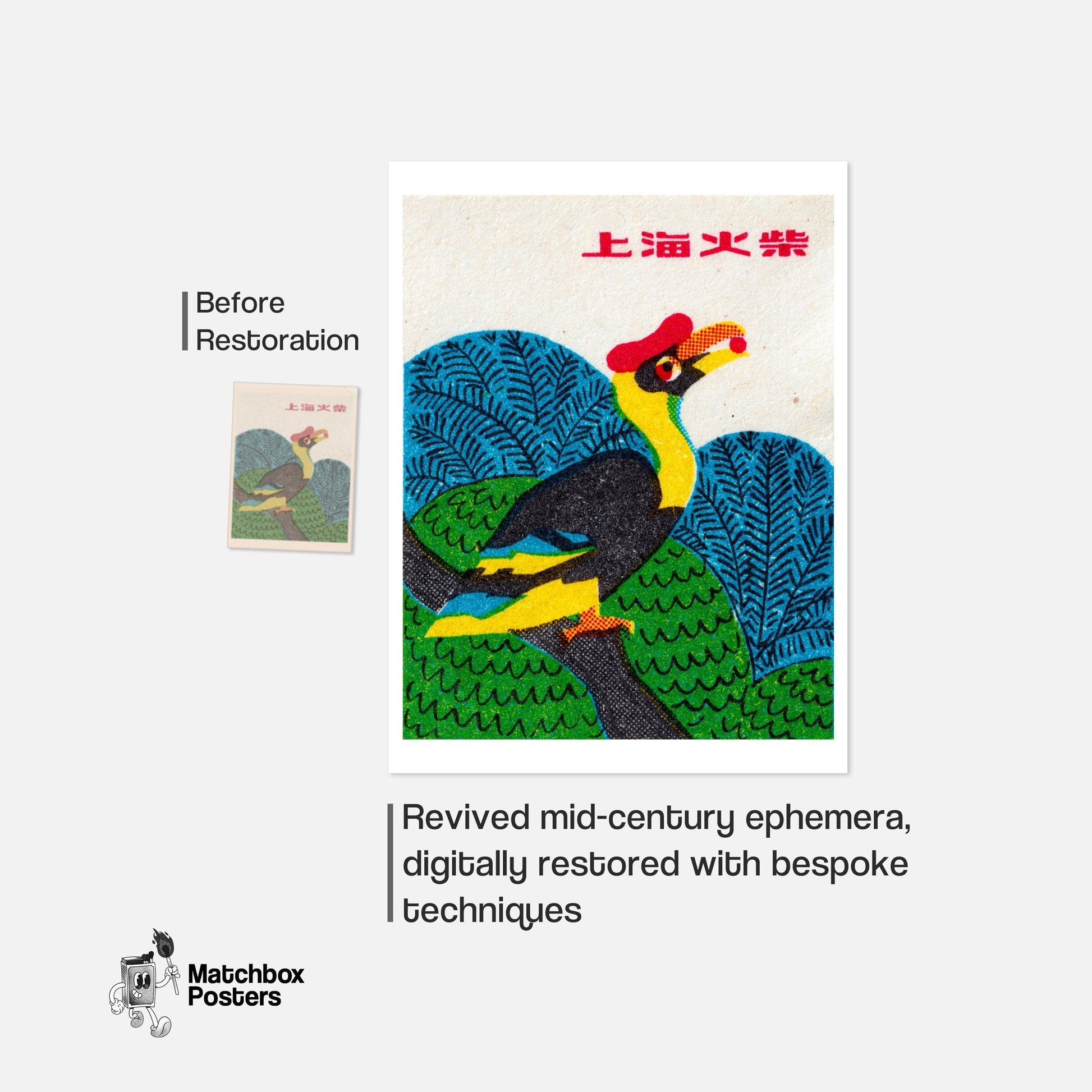 Toucan - vintage matchbox label print - framed wall art preview