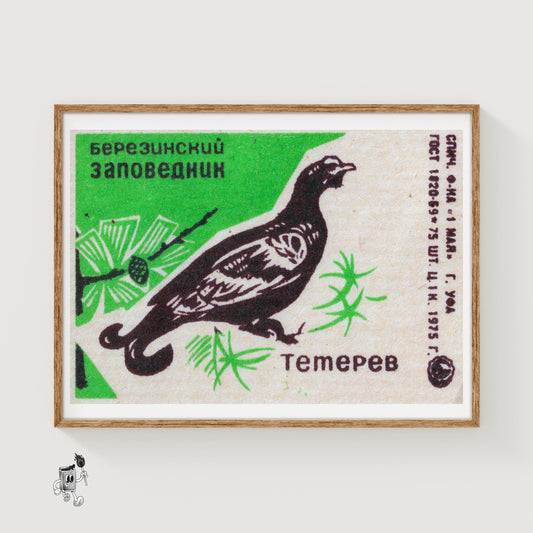 Black Grouse - vintage matchbox label print