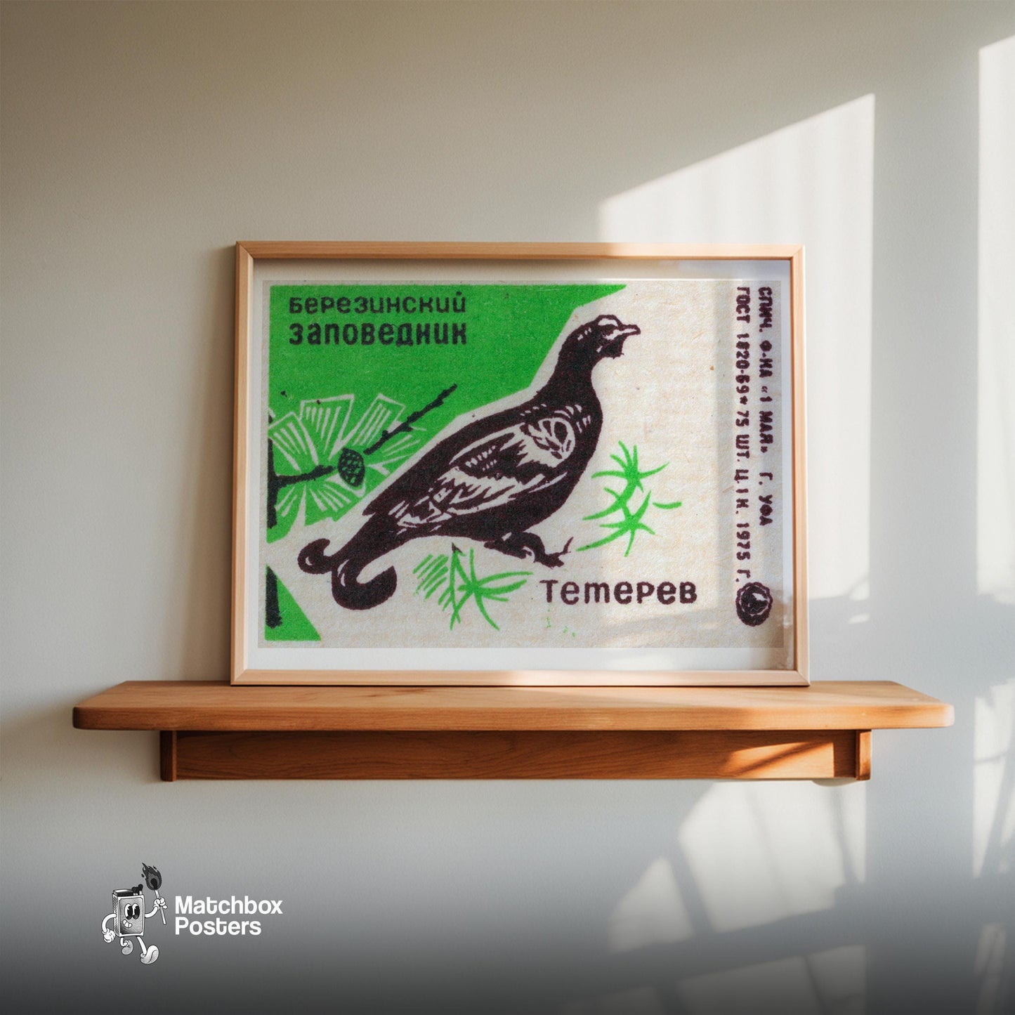 Black Grouse - vintage matchbox label print - size comparison