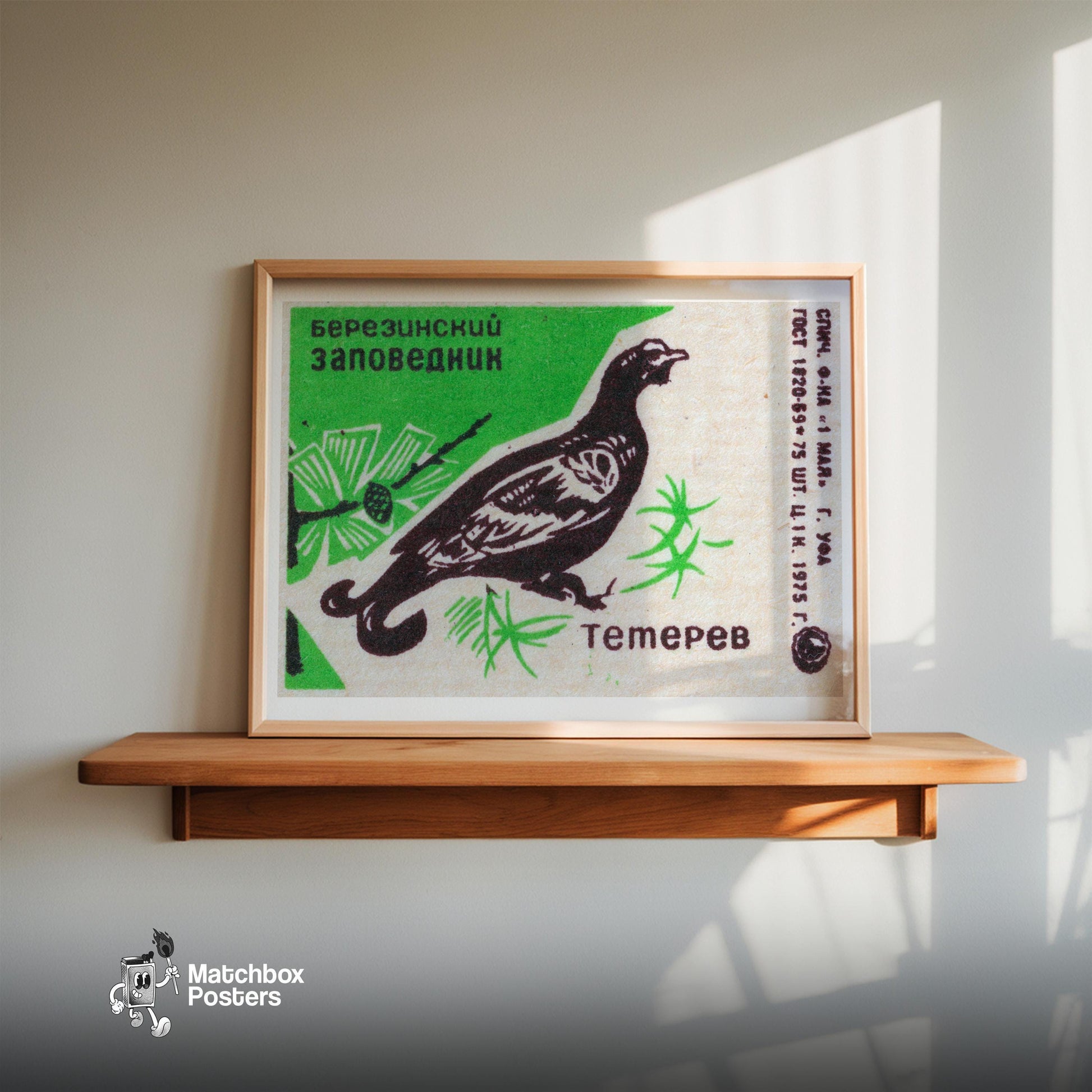 Black Grouse - vintage matchbox label print - size comparison