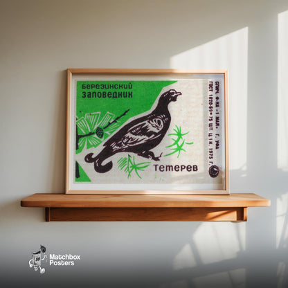 Black Grouse - vintage matchbox label print - size comparison
