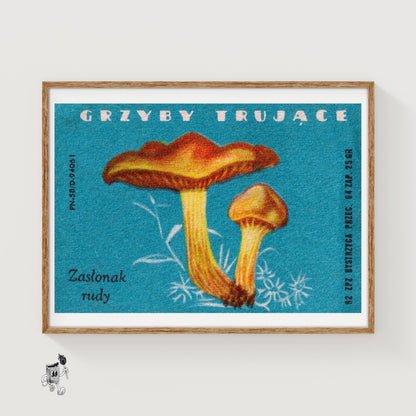 Mushroom - vintage matchbox label print