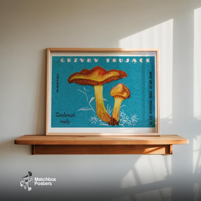 Mushroom - vintage matchbox label print - size comparison