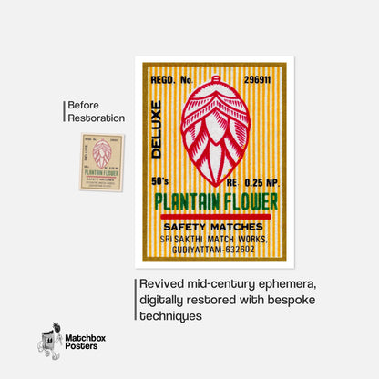 Plantain Flower - vintage matchbox label print - framed wall art preview