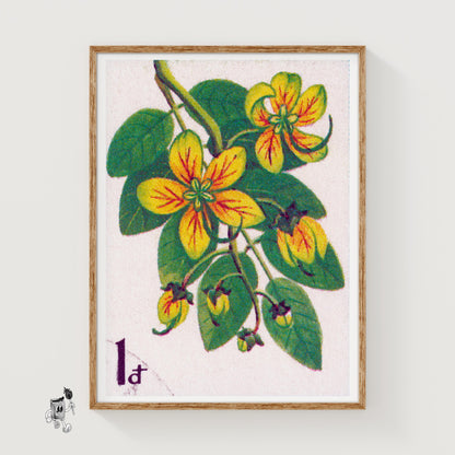 Cactus Flower - vintage matchbox label print