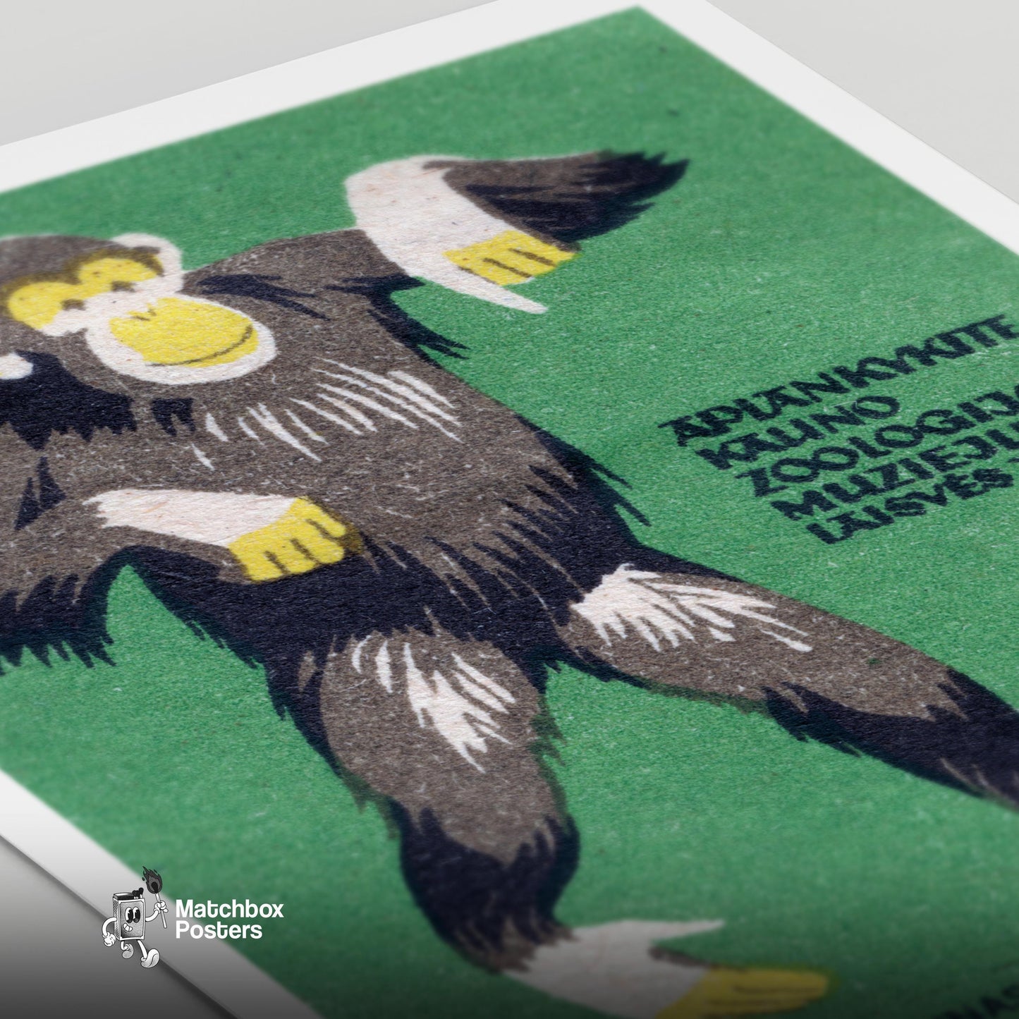 Chimpanzee - vintage matchbox label print - close-up detail