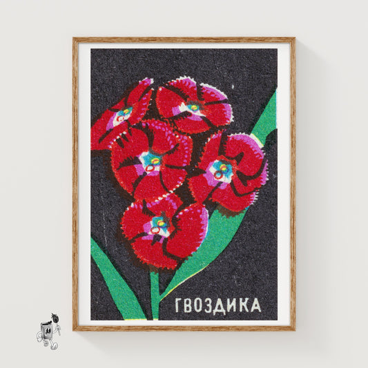 Red Carnation - vintage matchbox label print