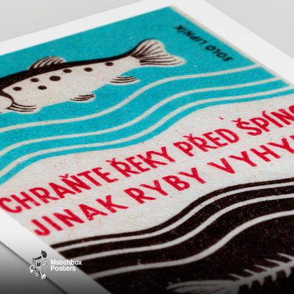 Fish and Skeleton - vintage matchbox label print - close-up detail