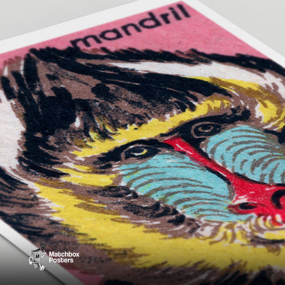 Mandrill - vintage matchbox label print - close-up detail