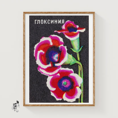 Colorful Gloxinia Flowers - vintage matchbox label print