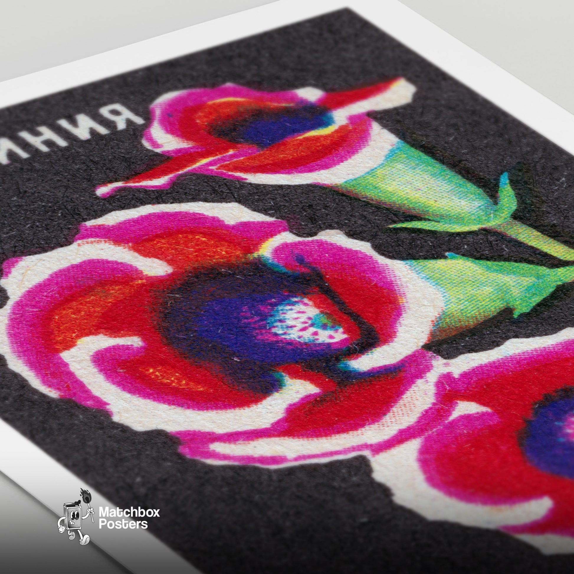 Colorful Gloxinia Flowers - vintage matchbox label print - close-up detail