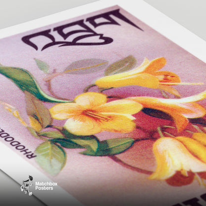 Yellow Rhododendron - vintage matchbox label print - close-up detail