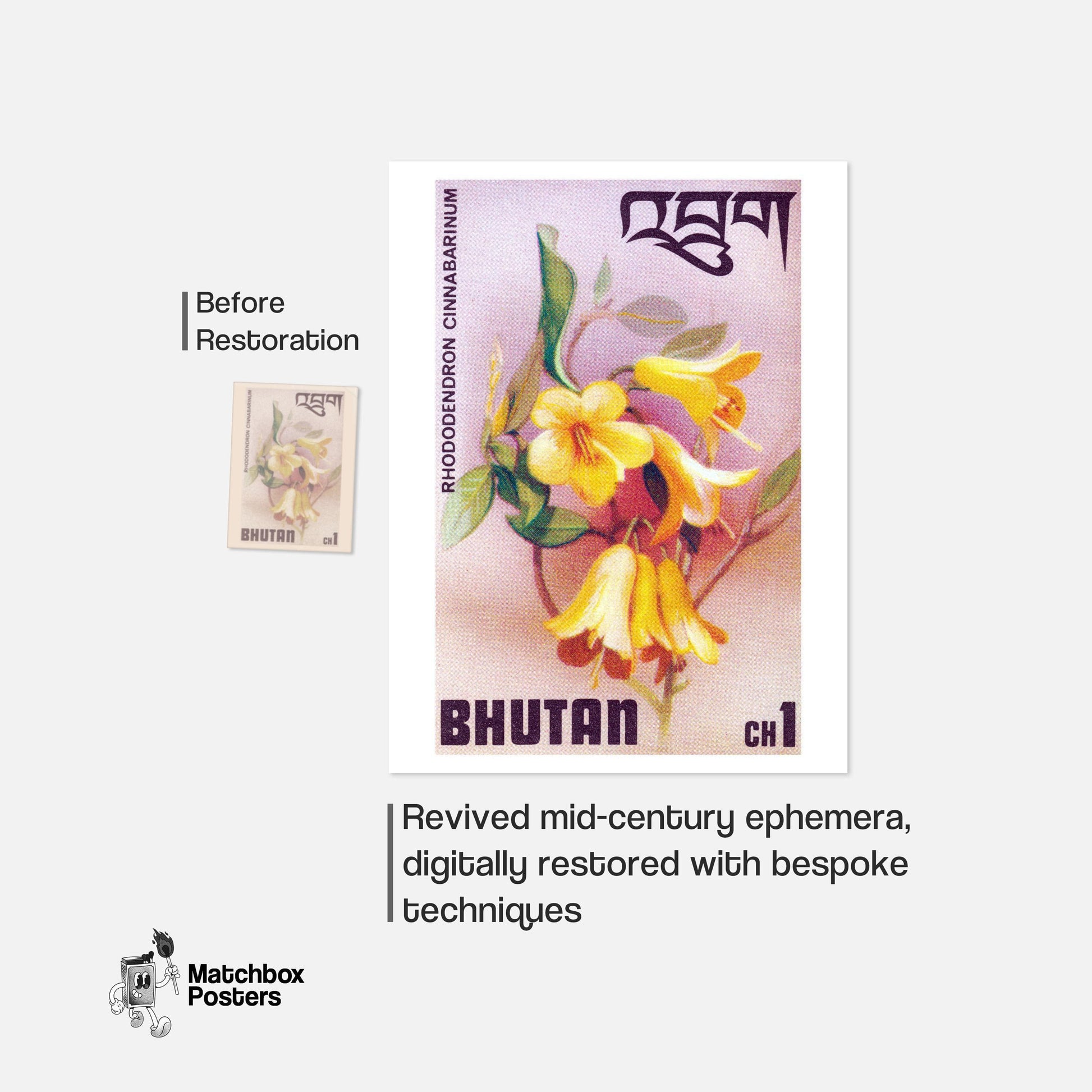 Yellow Rhododendron - vintage matchbox label print - framed wall art preview