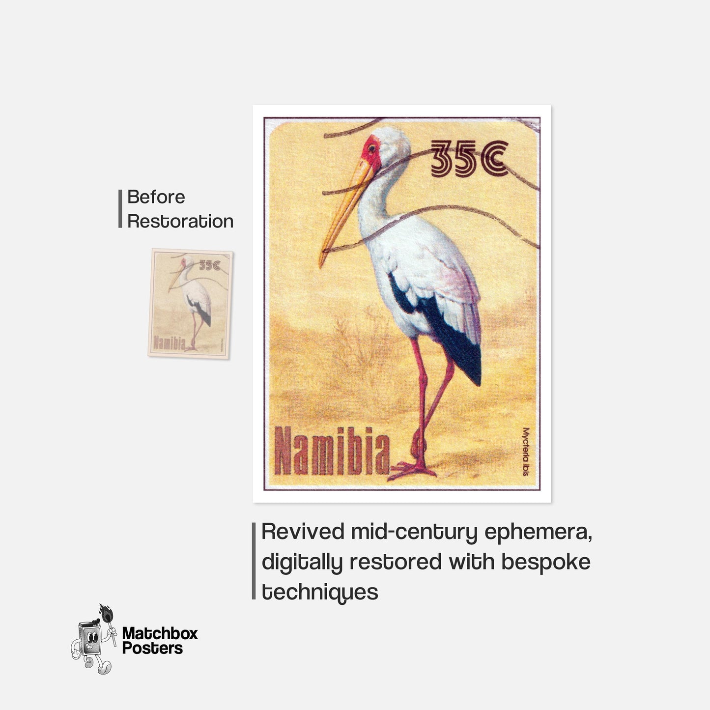 Mycteria Ibis - vintage matchbox label print - framed wall art preview