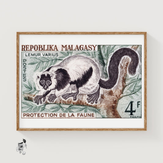 Lemur - vintage matchbox label print