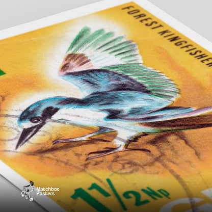 Kingfisher - vintage matchbox label print - close-up detail
