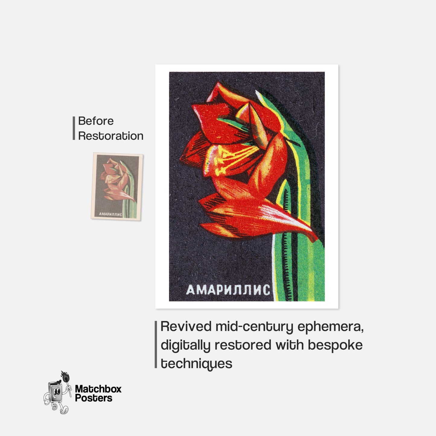 Amaryllis Flower - vintage matchbox label print - framed wall art preview
