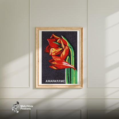 Amaryllis Flower - vintage matchbox label print - bedroom mockup