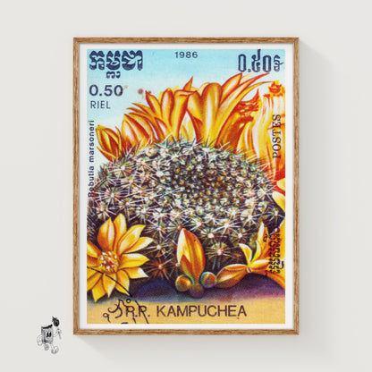 Orange Cactus Flowers - vintage matchbox label print