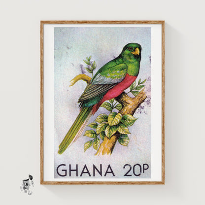 Green Bird - vintage matchbox label print