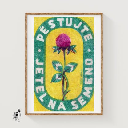 Red Clover Flower - vintage matchbox label print