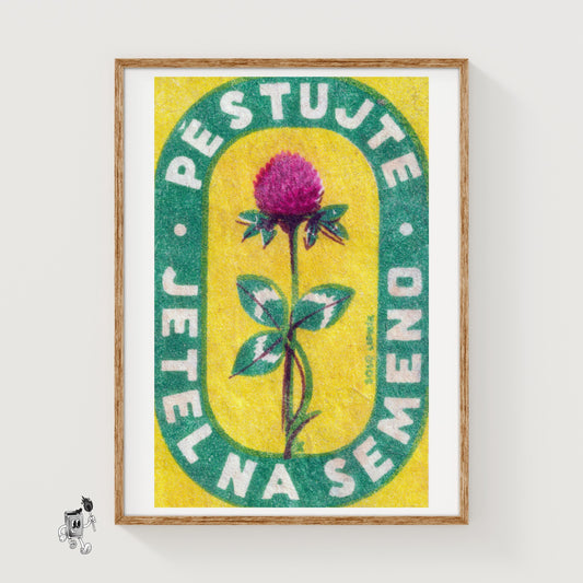 Red Clover Flower - vintage matchbox label print