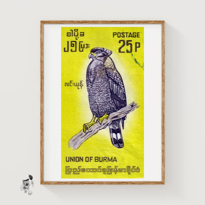 Black Hawk - vintage matchbox label print
